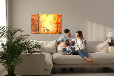 Ljuddämpande tavla - Deer in the autumn forest