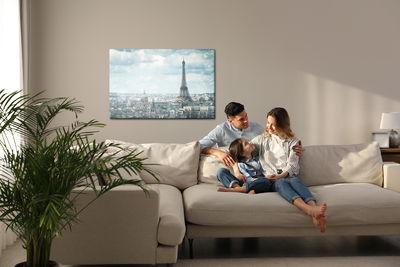 Ljuddämpande tavla - View on Paris