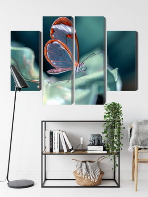 Ljuddämpande tavla - Glass-winged butterfly close