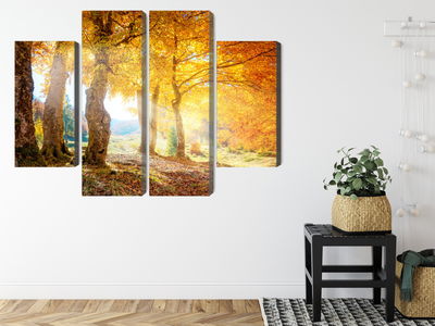 Ljuddämpande tavla - Sunny autumn forest