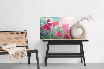 Ljuddämpande tavla - Poppies in the sun