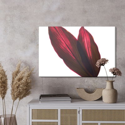 Ljuddämpande tavla - Cordyline bush leaves