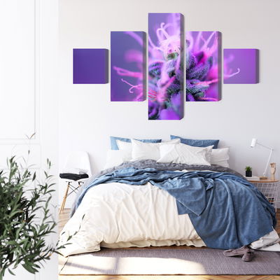 Ljuddämpande tavla - Macro plant on a pink-purple