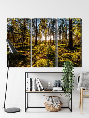 Ljuddämpande tavla - Morning sun rays