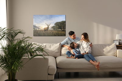 Ljuddämpande tavla - Deer on the background