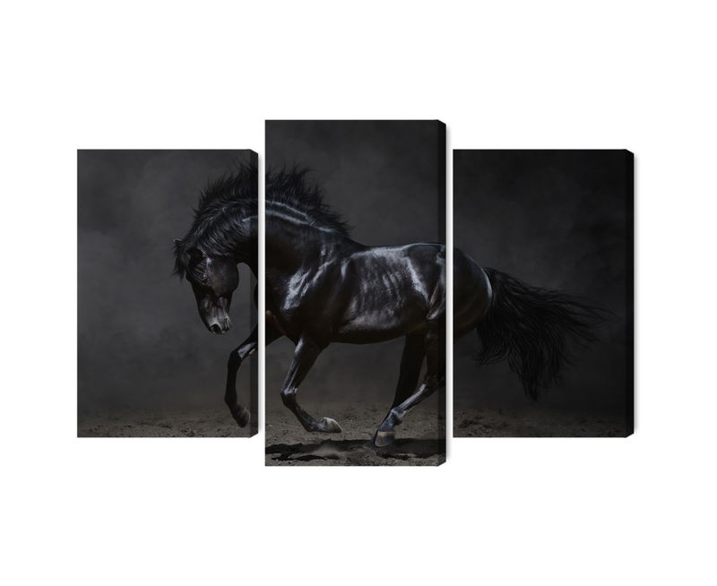 Ljuddämpande tavla - Black horse at a gallop