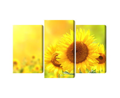 Ljuddämpande tavla - Blooming sunflowers 3d