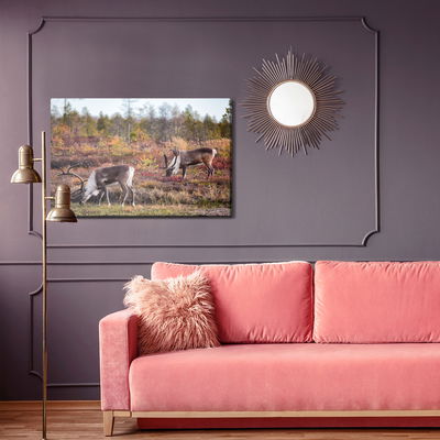 Ljuddämpande tavla - Siberian deer