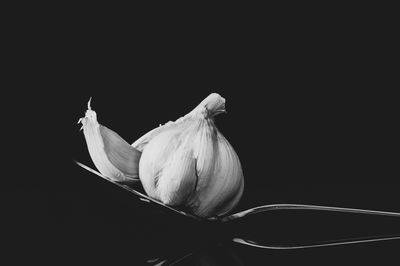 Ljuddämpande tavla - A tablespoon of garlic