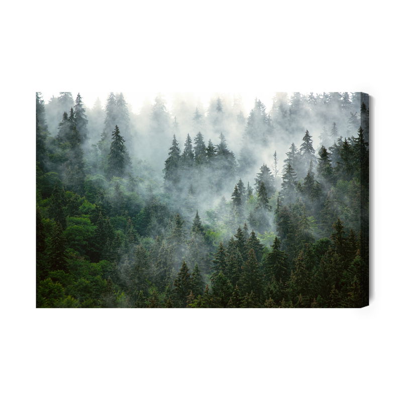 Ljuddämpande tavla - Foggy dark forest