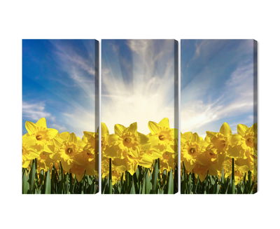 Ljuddämpande tavla - 3d daffodils field