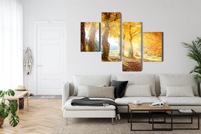 Ljuddämpande tavla - Sunny autumn forest