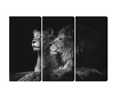 Ljuddämpande tavla - Lion and lioness on a black