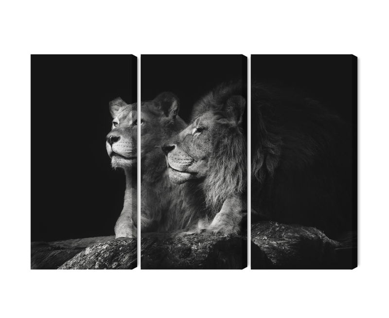 Ljuddämpande tavla - Lion and lioness on a black