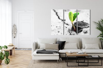 Ljuddämpande tavla - 3d plant sprouting