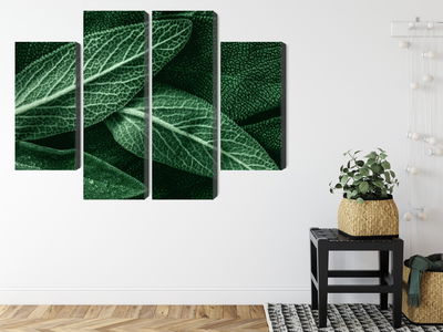 Ljuddämpande tavla - Salvia leaves on a macro