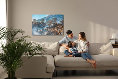 Ljuddämpande tavla - Trees at the waterfall