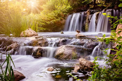Ljuddämpande tavla - Waterfall at sunset