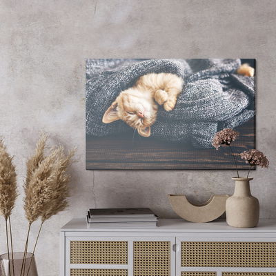 Ljuddämpande tavla - Sleeping ginger kitten