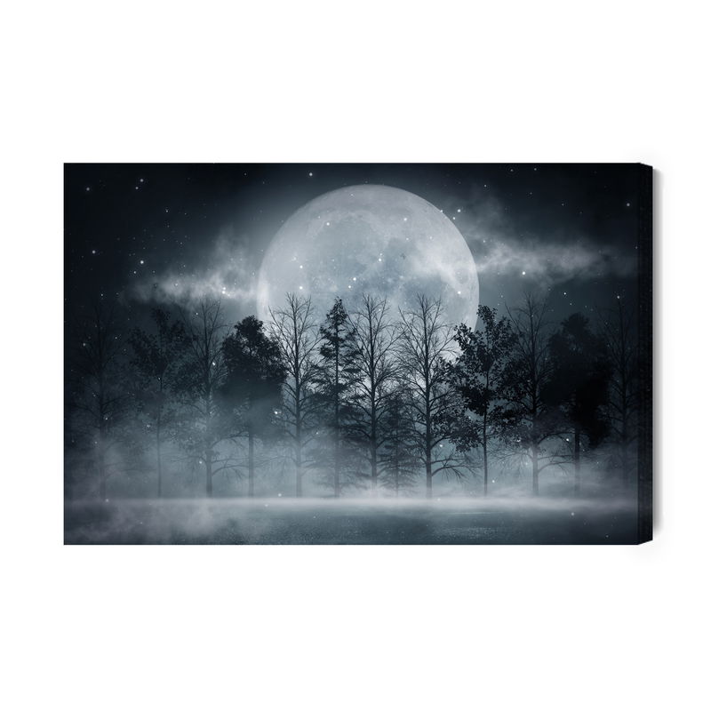 Ljuddämpande tavla - Full moon in a misty forest