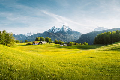 Ljuddämpande tavla - Mountain landscape