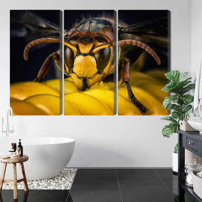Ljuddämpande tavla - Wasp on a macro scale