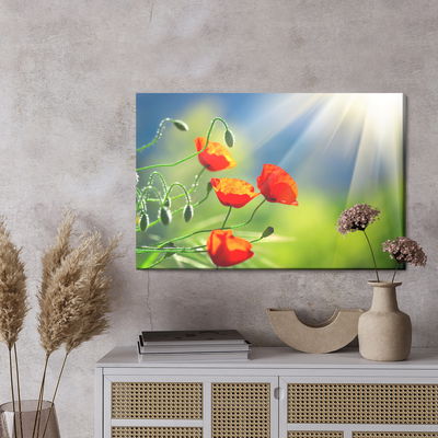 Ljuddämpande tavla - Poppies in the sunshine