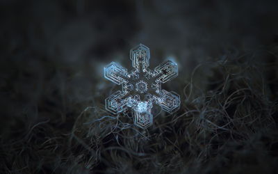 Ljuddämpande tavla - Snow flake in 3d macro scale