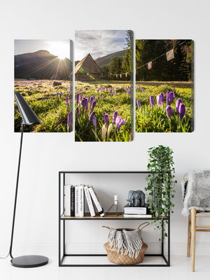 Ljuddämpande tavla - Chocholowska valley