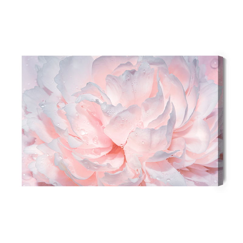Ljuddämpande tavla - Peonies in drops of water