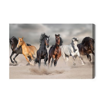 Ljuddämpande tavla - Horses by the sea