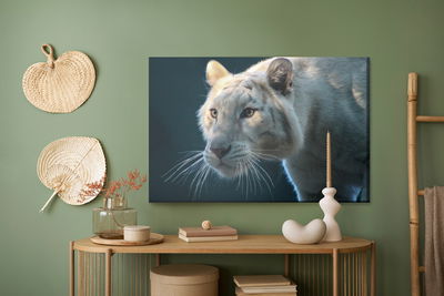 Ljuddämpande tavla - Beautiful white tiger