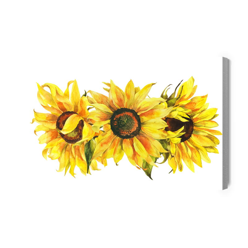 Ljuddämpande tavla - Three sunflowers on a white