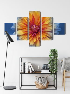 Ljuddämpande tavla - Chrysanthemum flower close