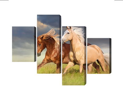 Ljuddämpande tavla - Horses galloping in a 3d