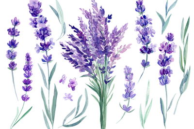 Ljuddämpande tavla - Blooming lavender painted