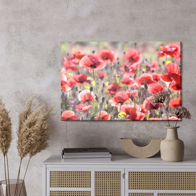 Ljuddämpande tavla - Poppies in the sun