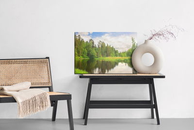 Ljuddämpande tavla - Forest landscape with a lake
