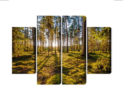 Ljuddämpande tavla - 3d sunny forest landscape