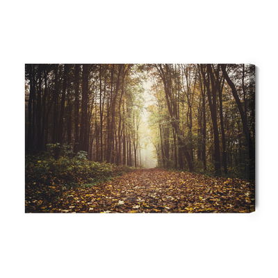 Ljuddämpande tavla - Autumn forest