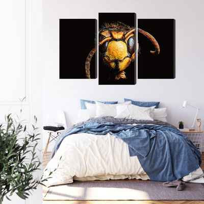 Ljuddämpande tavla - Hornet on a macro scale