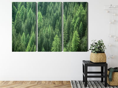 Ljuddämpande tavla - Green forest view 3d