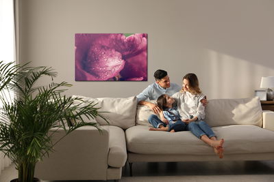 Ljuddämpande tavla - Peony roses with dew