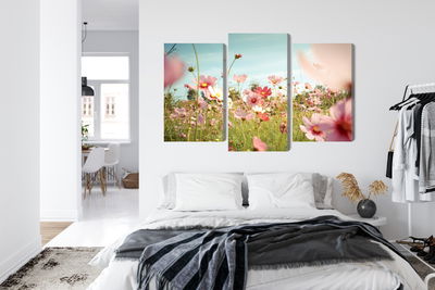 Ljuddämpande tavla - Cosmos flowers in the garden