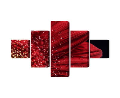 Ljuddämpande tavla - Flower petals on a macro