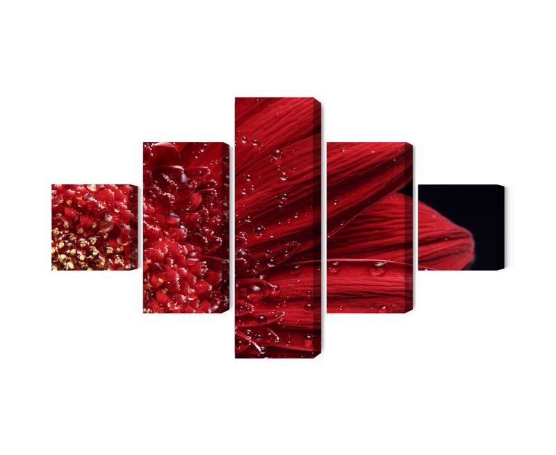 Ljuddämpande tavla - Flower petals on a macro