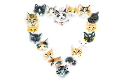 Ljuddämpande tavla - Heart of kittens