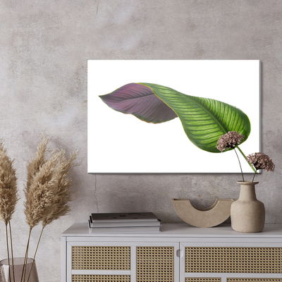 Ljuddämpande tavla - Calathea leaf