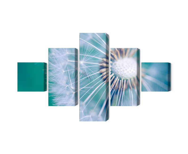 Ljuddämpande tavla - Dandelion on a macro scale