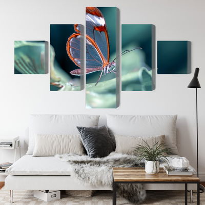 Ljuddämpande tavla - Glass-winged butterfly close